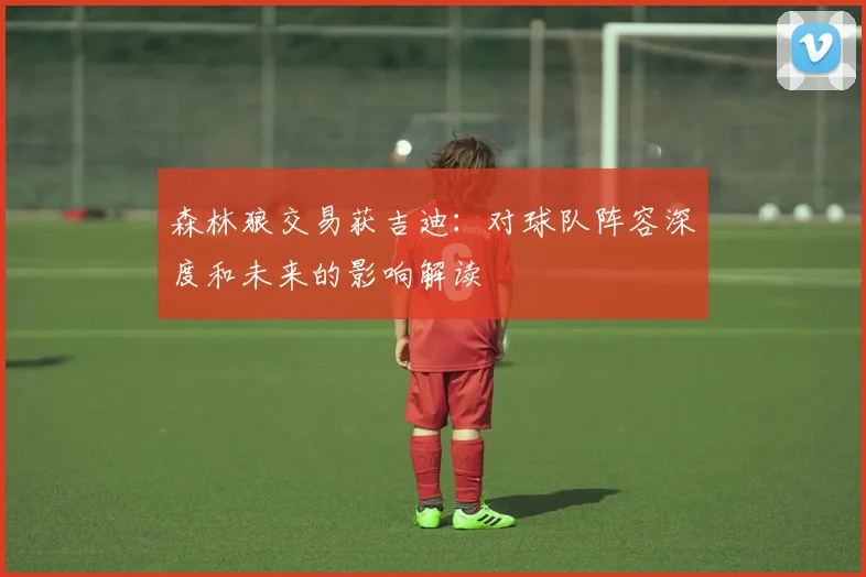 森林狼交易获吉迪:对球队阵容深度和未来的影响解读
